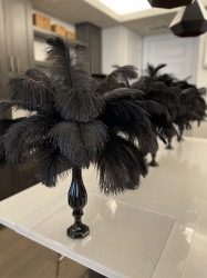 Medium White Ostrich Feather