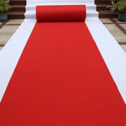 Red20carpet20on20display 1747406986 Red Carpet Package