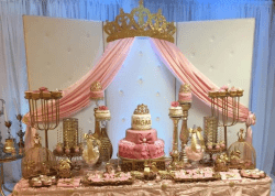 pltdjv2e 1747255613 Crown Canopy Backdrop with Vintage